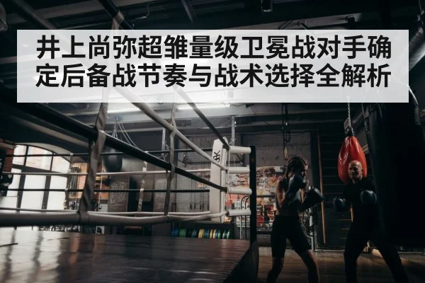 boxer training gym